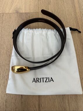 Aritzia Dark Brown Leather Belt with brass buckle